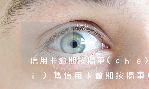 信用卡逾期按揭車(chē)可以買(mǎi)嗎(信用卡逾期按揭車(chē)可以買(mǎi)嗎)