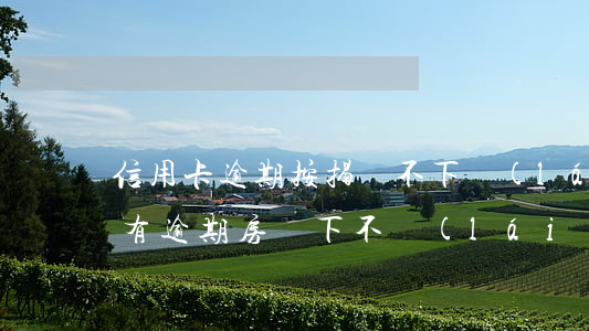 信用卡逾期按揭辦不下來(lái)(信用卡有逾期房貸下不來(lái)怎么辦)