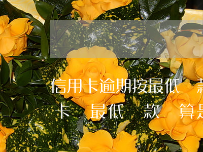 信用卡逾期按最低還款會怎么樣(每個月信用卡還最低還款額算是逾期嗎)