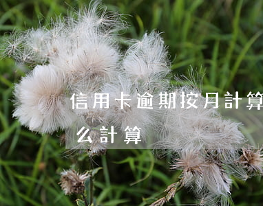 信用卡逾期按月計算復利(信用卡的復利是怎么計算)