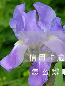 信用卡逾期挺久了怎么辦(信用卡逾期挺久了怎么辦啊)