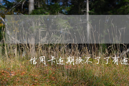 信用卡逾期换不了了(有逾期办不了信用卡)