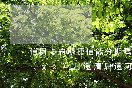 信用卡逾期捷信能分期嗎(捷信分期逾期3個(gè)月還清后還可以分期嗎)
