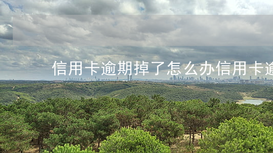 信用卡逾期掉了怎么办(信用卡 逾期了怎么办)