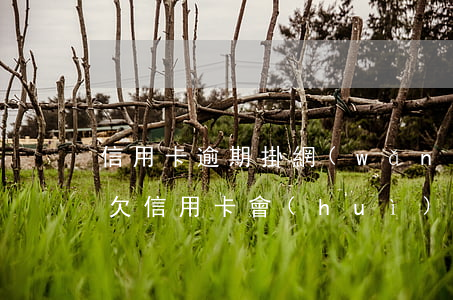 信用卡逾期掛網(wǎng)上追逃通緝犯(欠信用卡會(huì)被網(wǎng)上通緝嗎)