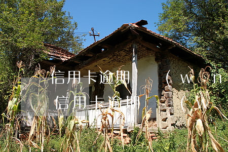 信用卡逾期掛網(wǎng)公示什么意思(信用卡逾期掛網(wǎng)公示什么意思)