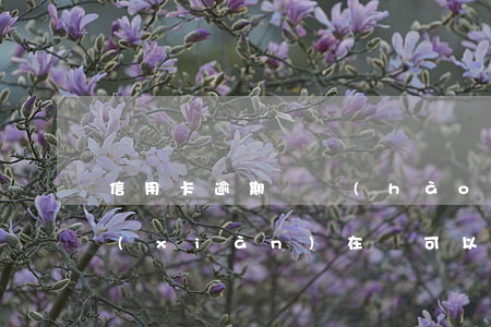 信用卡逾期掛號(hào)信寄到家里了(現(xiàn)在還可以寄掛號(hào)信嗎)