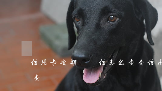 信用卡逾期掛號信怎么查(查信用卡逾期怎么查)