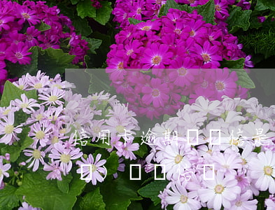 信用卡逾期掛號信是怎么樣的(逾期會發(fā)掛號信嗎)