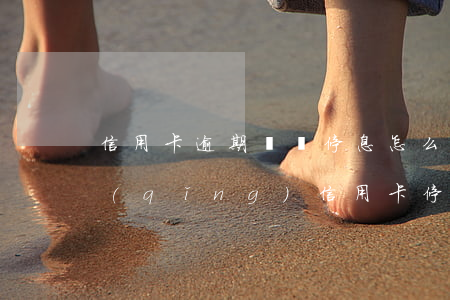 信用卡逾期掛賬停息怎么弄(如何向銀行申請(qǐng)信用卡停息掛賬)