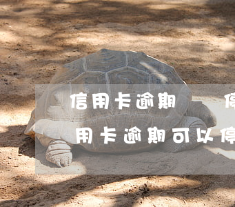 信用卡逾期掛賬停息申請條件(什么情況下信用卡逾期可以停息掛賬)