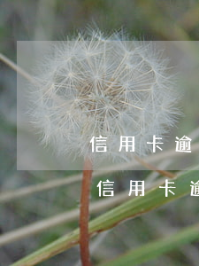 信用卡逾期接到上海開庭短信-接到電話說信用卡逾期