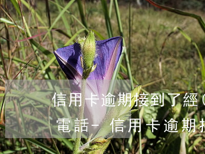 信用卡逾期接到了經(jīng)偵大隊的電話-信用卡逾期接到了經(jīng)偵大隊的電話怎么辦