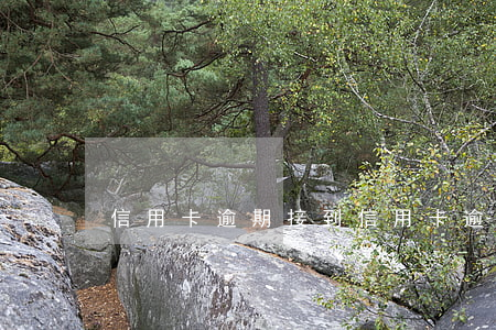 信用卡逾期接到(信用卡逾期接到派出所電話)