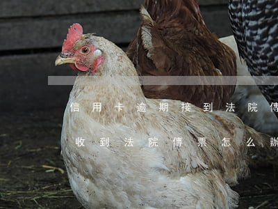 信用卡逾期接到法院傳票怎么處理(銀行逾期收到法院傳票怎么辦)