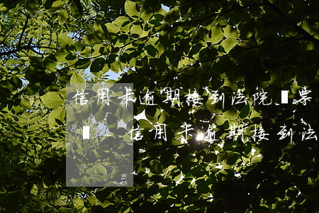 信用卡逾期接到法院傳票會(huì)怎么樣-信用卡逾期接到法院傳票會(huì)怎么樣嗎