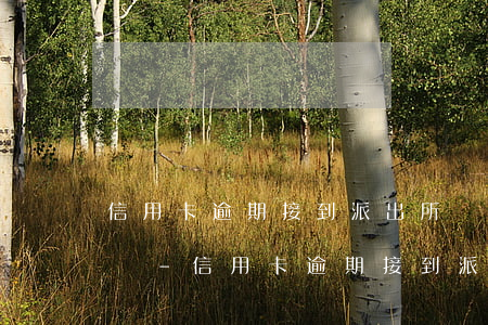 信用卡逾期接到派出所電話會(huì)怎樣-信用卡逾期接到派出所電話會(huì)怎樣處理