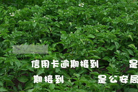 信用卡逾期接到電話說是公安局-信用卡逾期接到電話說是公安局的