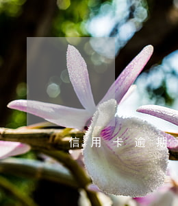 信用卡逾期提交到法院多久能立案