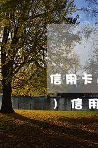 信用卡逾期提交到總行(中國銀行對(duì)信用卡逾期的處理)