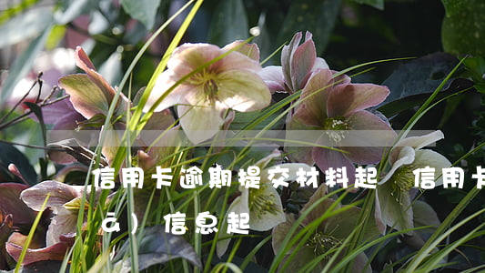 信用卡逾期提交材料起訴(信用卡逾期發(fā)信息起訴)