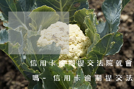 信用卡逾期提交法院就會(huì)有影響嗎-信用卡逾期提交法院就會(huì)有影響嗎知乎