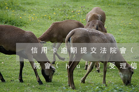 信用卡逾期提交法院會(huì)怎么樣(法院會(huì)受理信用卡逾期案件嗎)
