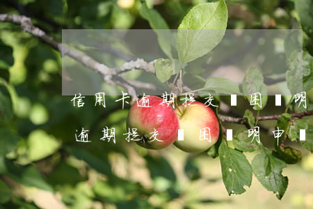 信用卡逾期提交貧困證明申請分期-信用卡逾期提交貧困證明申請分期有影響嗎