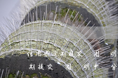 信用卡逾期提交貧困證明申請分期(信用卡逾期提交貧困證明申請分期)