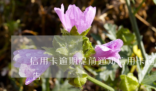 信用卡逾期提前通知(信用卡 逾期 收到 律師 通告)