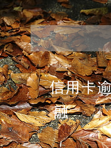 信用卡逾期提示報送征信(信用卡逾期報送金融)