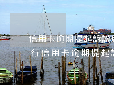 信用卡逾期提起訴訟后多久被執(zhí)行(信用卡逾期提起訴訟后多久被執(zhí)行)