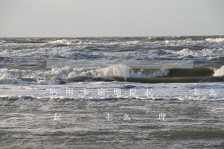 信用卡逾期提起訴訟怎么處理(信用卡逾期提起訴訟怎么處理)