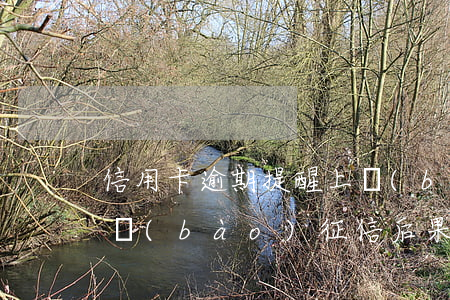 信用卡逾期提醒上報(bào)征信(逾期上報(bào)征信后果)