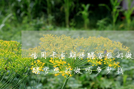 信用卡逾期提醒客服好做吗-信用卡逾期提醒客服好做吗多少钱