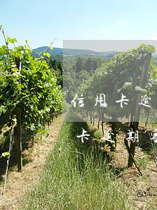 信用卡逾期提醒客服好做嗎多少錢-做信用卡逾期客服壓力大嗎