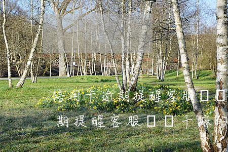 信用卡逾期提醒客服專員干嘛的-信用卡逾期提醒客服專員干嘛的啊