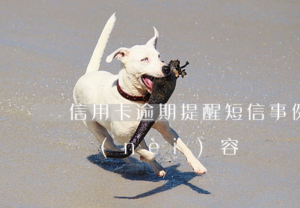 信用卡逾期提醒短信事例(信用卡逾期的信息內(nèi)容)