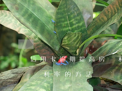信用卡逾期提高房貸利率(信用卡逾期提高房貸利率的方法)