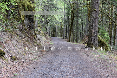 信用卡逾期提高首付（信用卡逾期提高首付）
