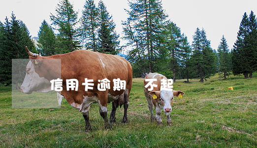 信用卡逾期換不起