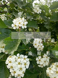 信用卡逾期換了些會(huì)怎樣(信用卡逾期影響到期換卡嗎)