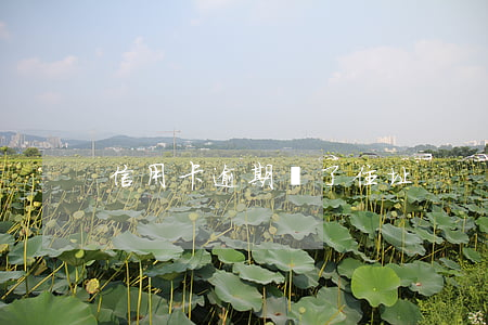 信用卡逾期換了住址