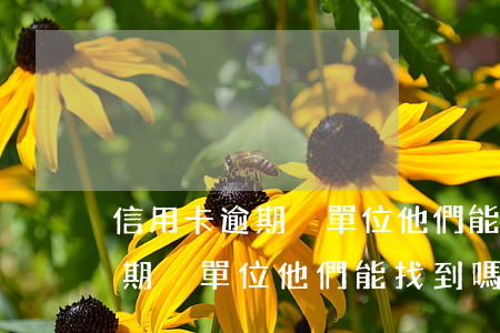 信用卡逾期換單位他們能找到嗎-信用卡逾期換單位他們能找到嗎安全嗎