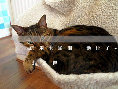 信用卡逾期換地址了-信用卡逾期換地址了怎么還