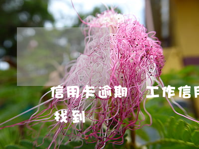 信用卡逾期換工作(信用卡逾期換工作銀行會找到嗎)