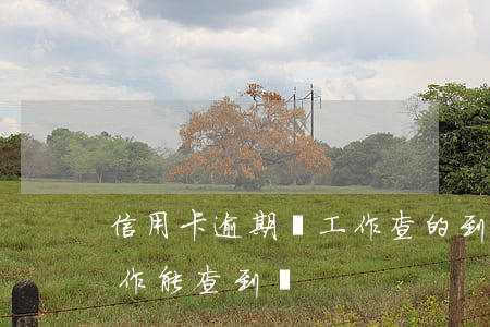 信用卡逾期換工作查的到嗎(欠信用卡換了工作能查到嗎)