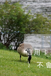 信用卡逾期換新號(hào)碼會(huì)不會(huì)打電話-欠信用卡換號(hào)碼會(huì)打電話嗎