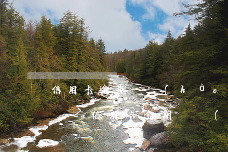 信用卡逾期換號(hào)碼了起訴能知道嗎-信用卡逾期換號(hào)碼了起訴能知道嗎安全嗎