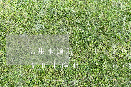 信用卡逾期換號(hào)碼了還起訴嗎(我信用卡逾期幾個(gè)月了他們說(shuō)要告我上法院)